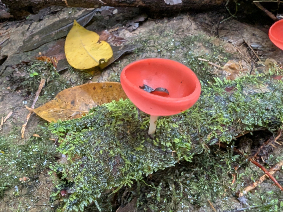 Santa Lucia Falls-乌维塔必去景点