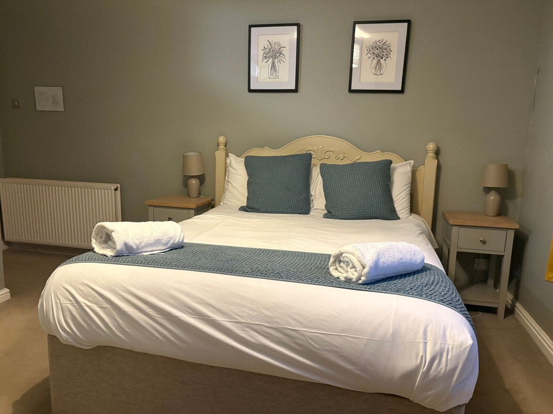 The Vines Bar Rooms主图