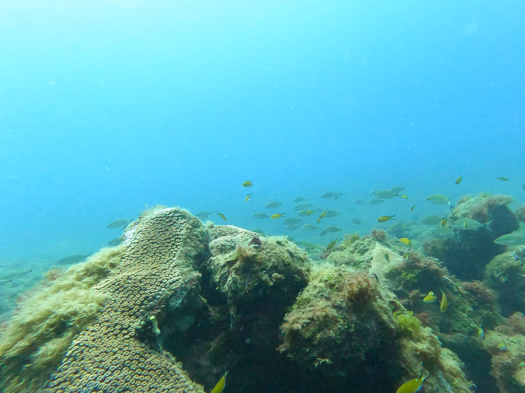 Boipeba Mergulho - Scuba Diving Center-Morere必去景点