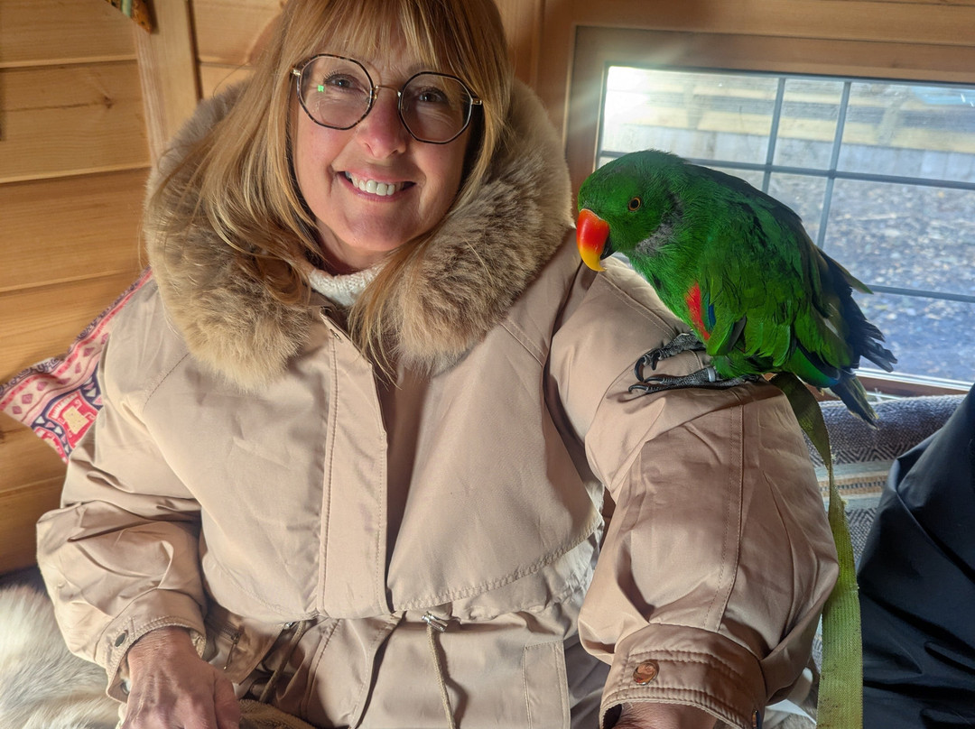 Nanny Sharon's Alpaca Farm C.I.C-Prenton必去景点