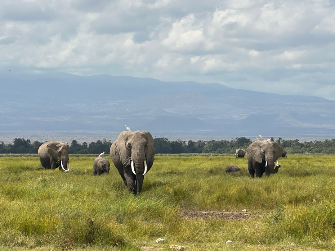 Northern Wild Hunters-班布里必去景点