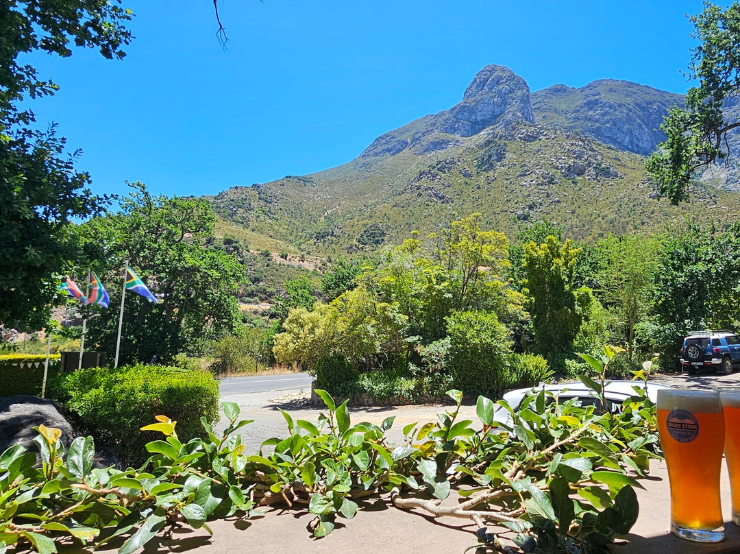 Winterberg Mountain Inn主图