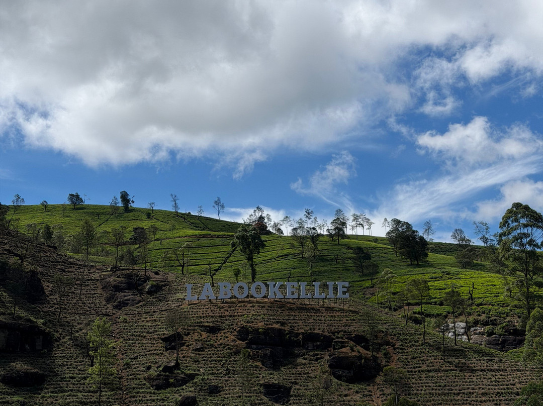 Rk tours (travel with ragu) nanuoya-Nanu Oya必去景点