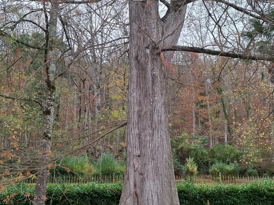 Parque Natural Señorío de Bertiz-Oieregi必去景点