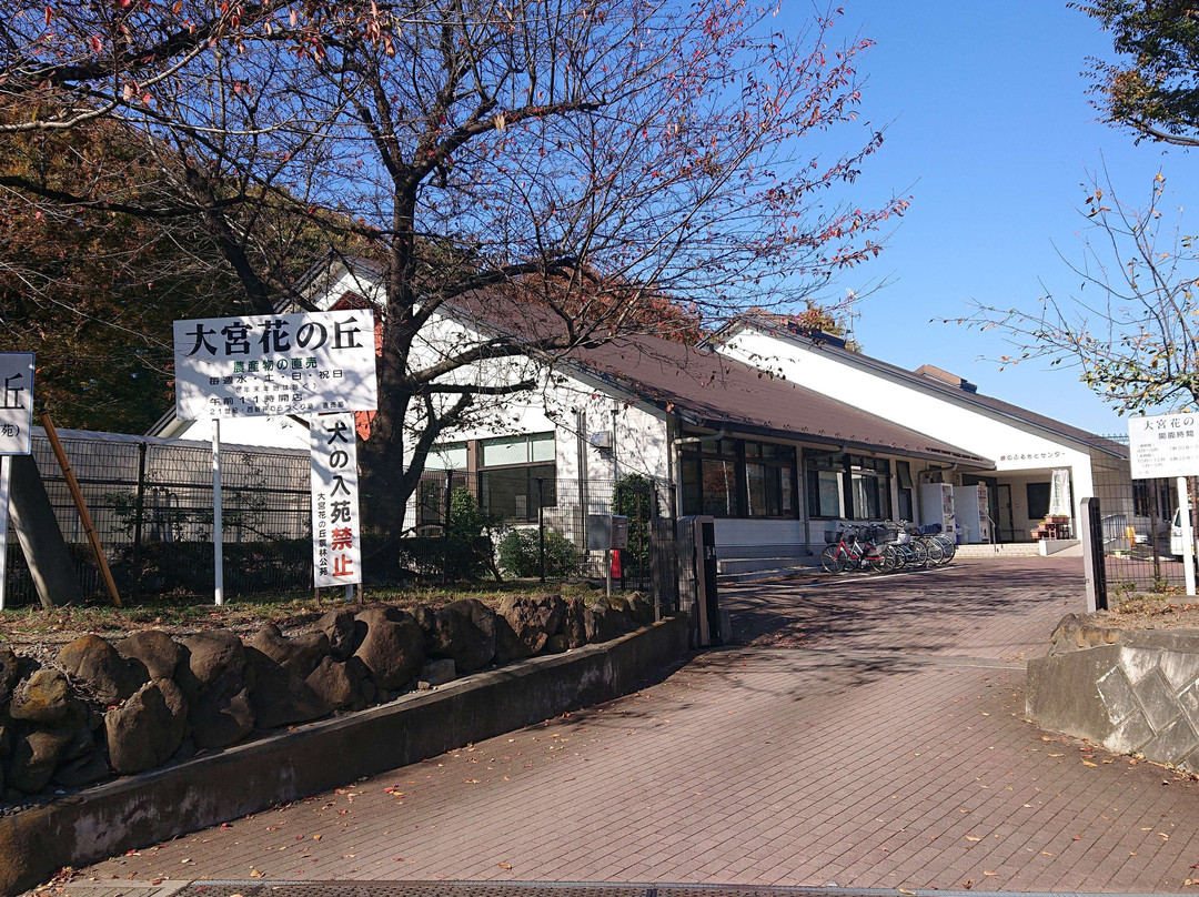 Omiya Hana no Oka Norin Park-埼玉市必去景点
