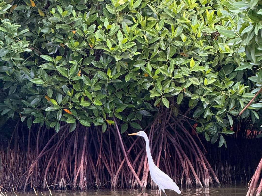 Kayak journey-Rekawa必去景点