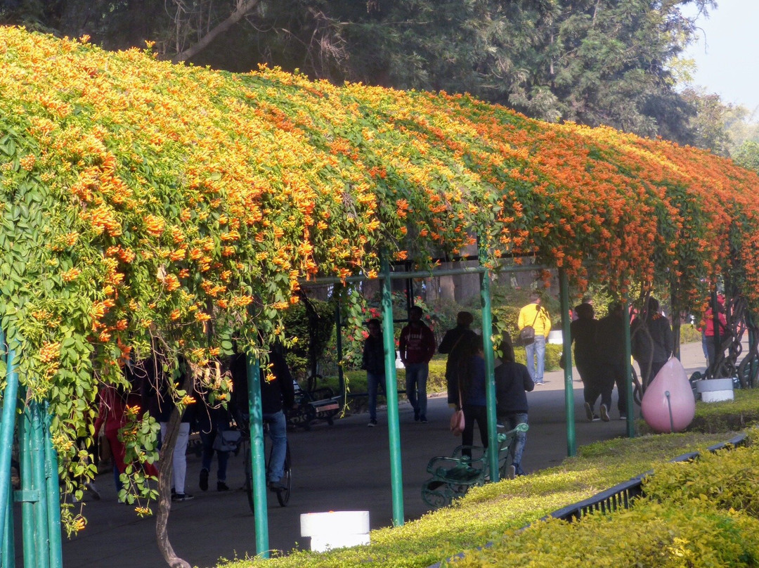 Chandigarh Rose Garden-昌迪加必去景点