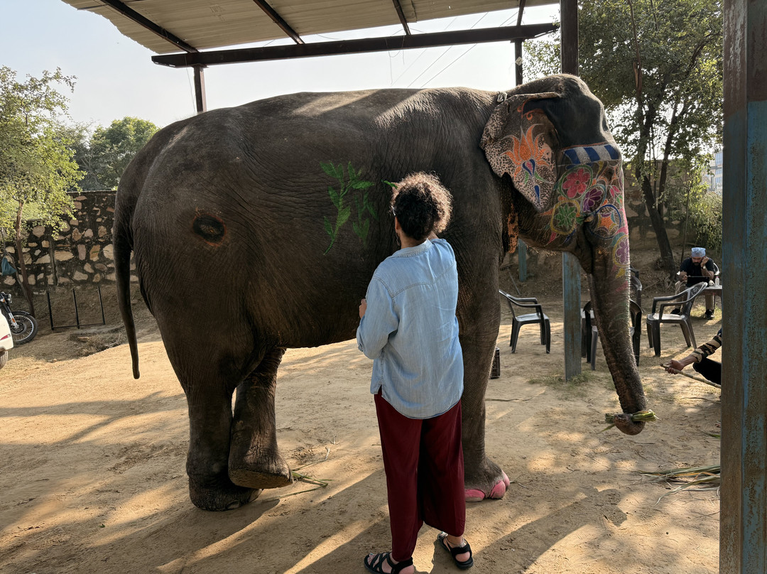 Elefun-斋蒲尔必去景点