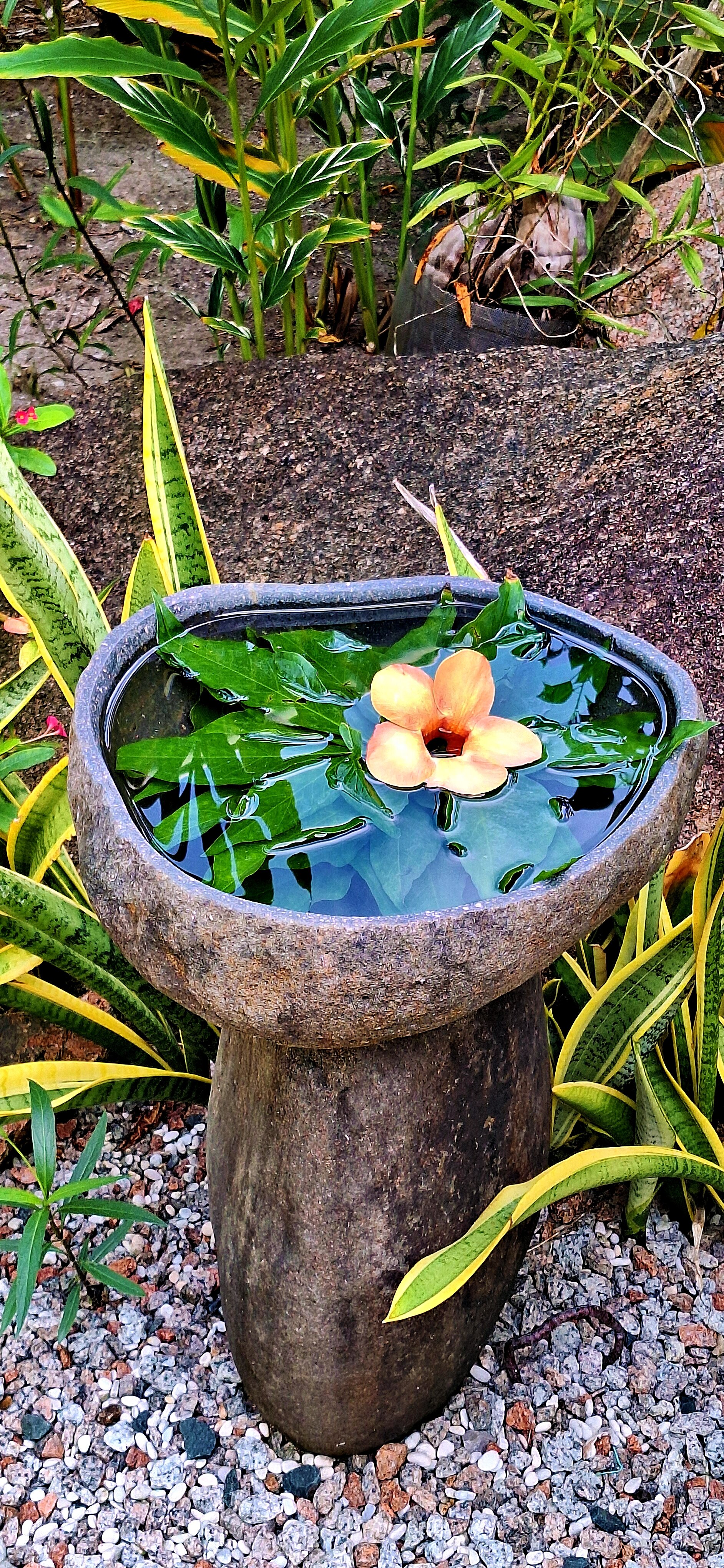 Cabanes Des Anges-官方