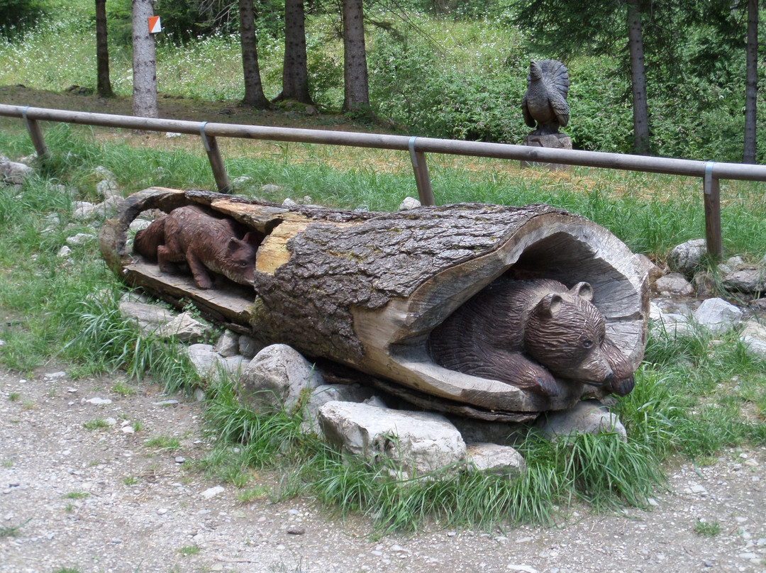 Val di Concei-莱德罗必去景点