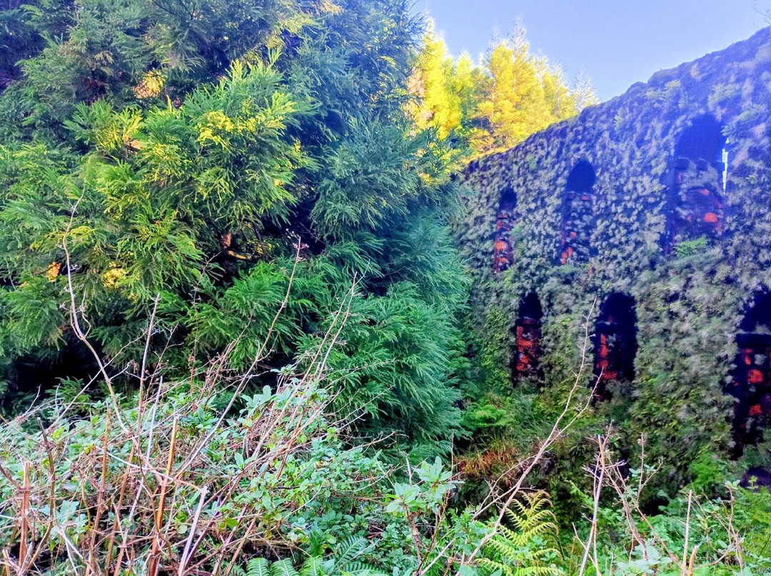 Greenzone Azores Tours-蓬塔德尔加达必去景点