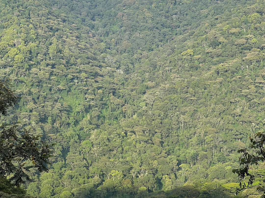 Insight Safari Holidays-Kanungu必去景点