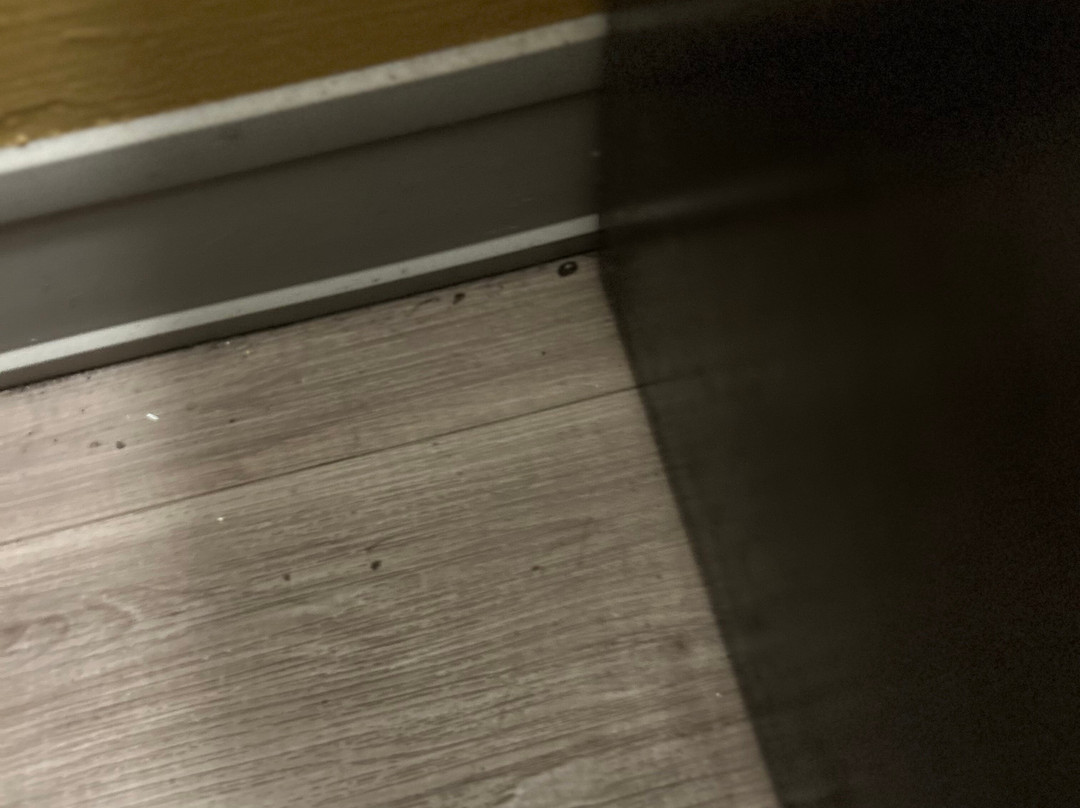 Days Inn by Wyndham Alexander City主图