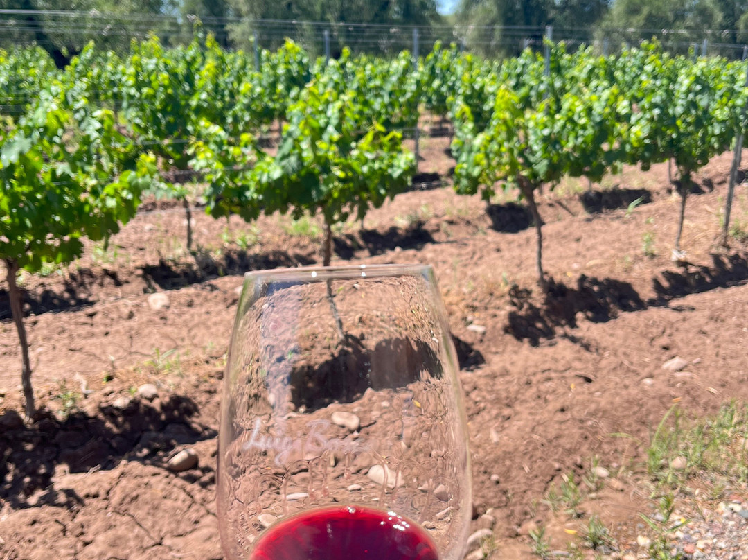 Finca El Paraíso - Bodega Luigi Bosca-Maipu必去景点