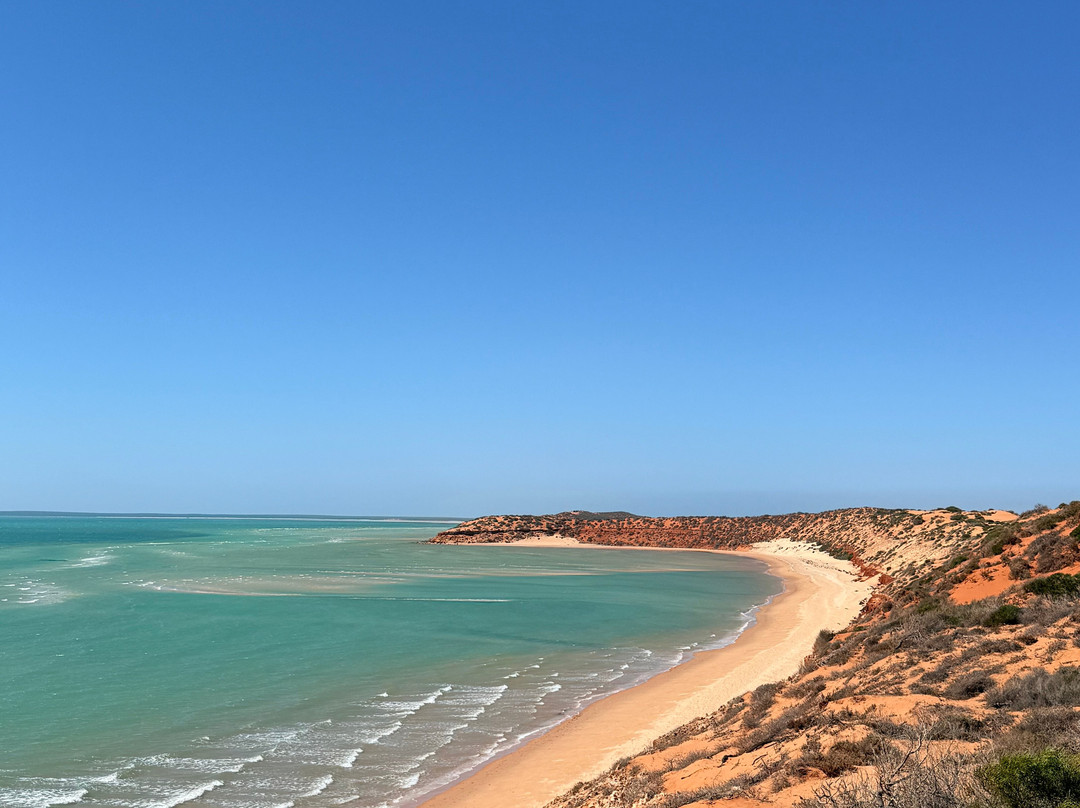 Shark Bay Coastal Tours-德纳姆必去景点