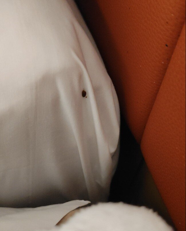 埃里卡酒店主图