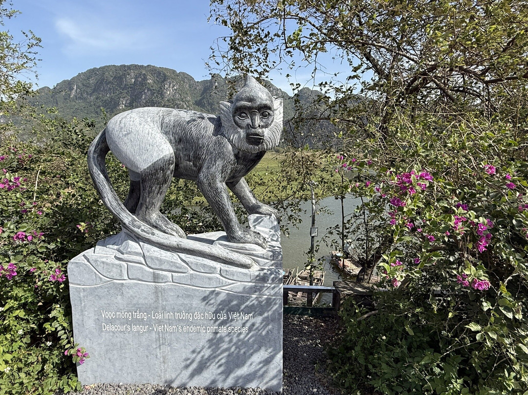Van Long Nature Reserve-宁平必去景点
