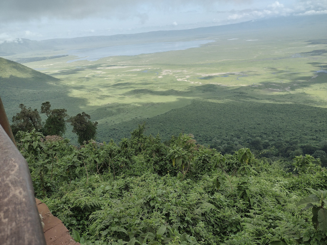 Julius Solomon Safari Guide-Ngorongoro必去景点