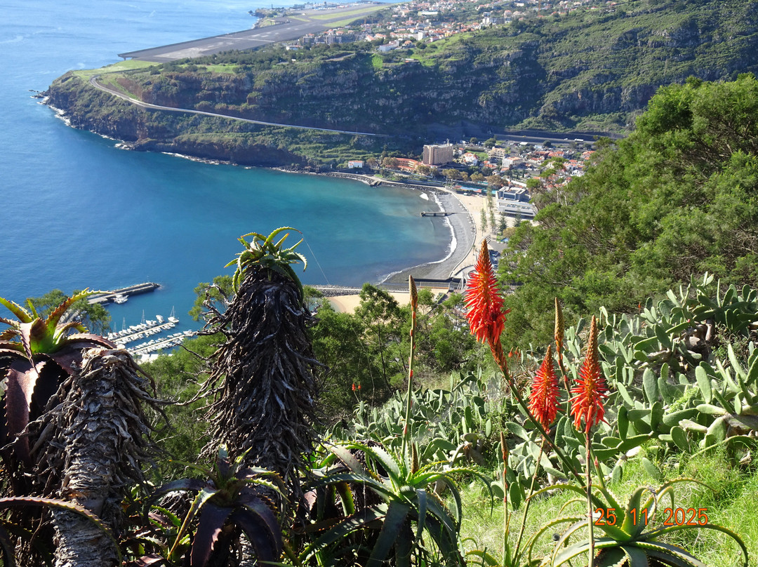 ViveMadeira-马德拉群岛必去景点