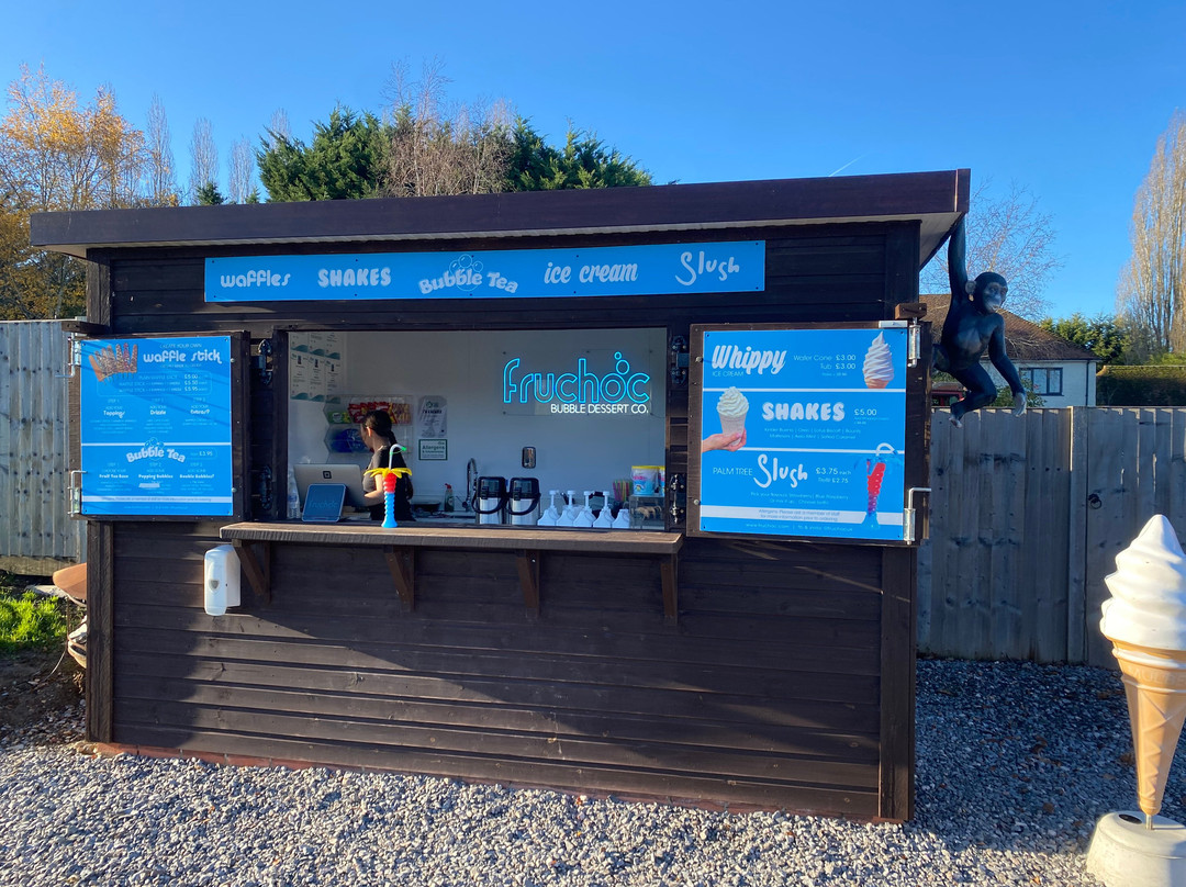 Junglemania Adventure Golf