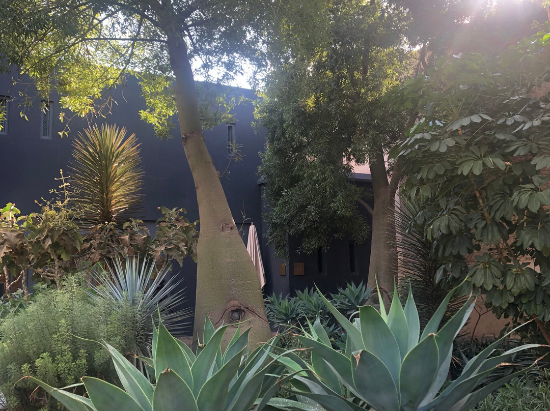 香颂秘密花园-马拉喀什必去景点