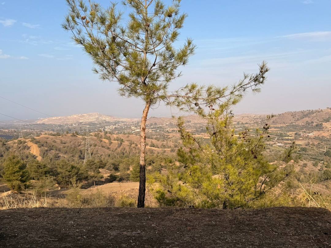 Kakopetria Safari Atv-卡科佩特里亚必去景点