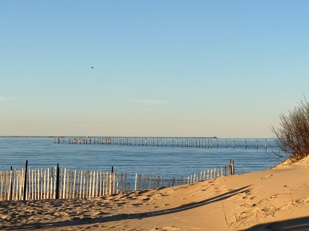 First Landing State Park-弗吉尼亚海滩必去景点