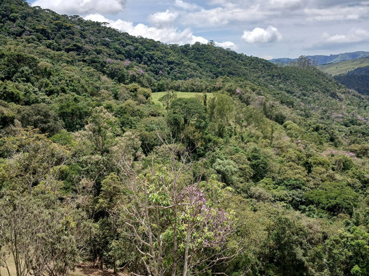 Sítio Cachoeiras do Alcantilado-Bocaina de Minas必去景点