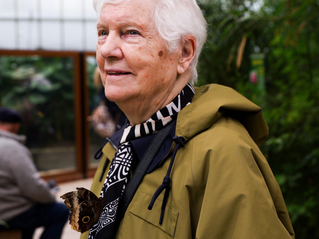 热带蝴蝶馆，野生动物和狩猎中心-谢菲尔德必去景点