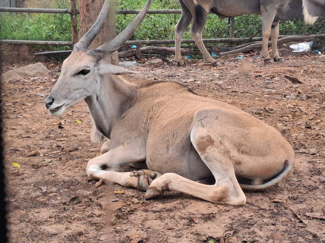 珍珠王国野生动物园-富国岛必去景点