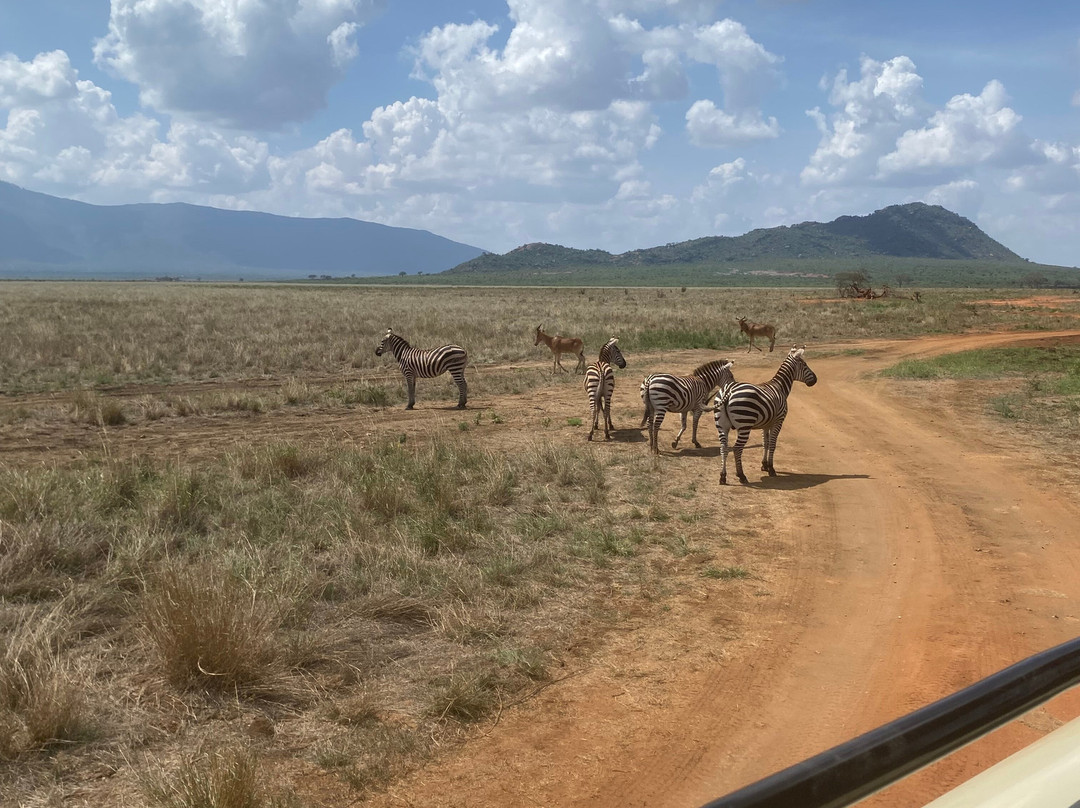 Mufasa Tours and Travels-内罗毕必去景点