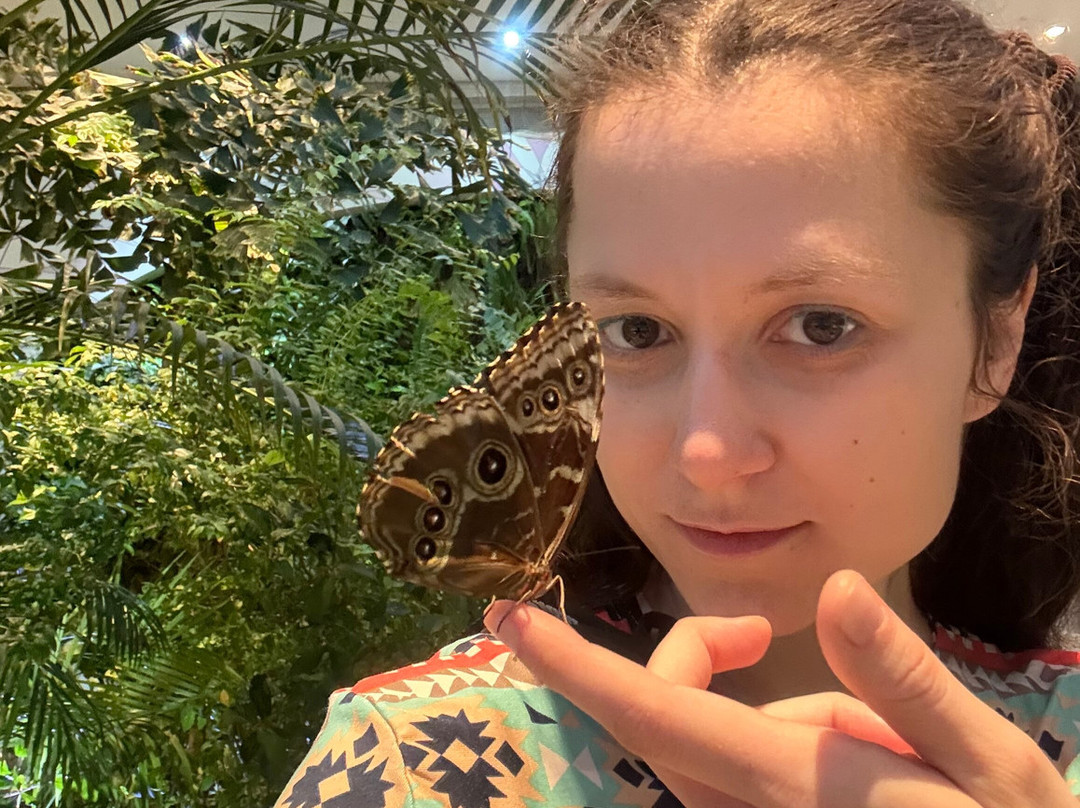 Al Noor Island-沙迦必去景点