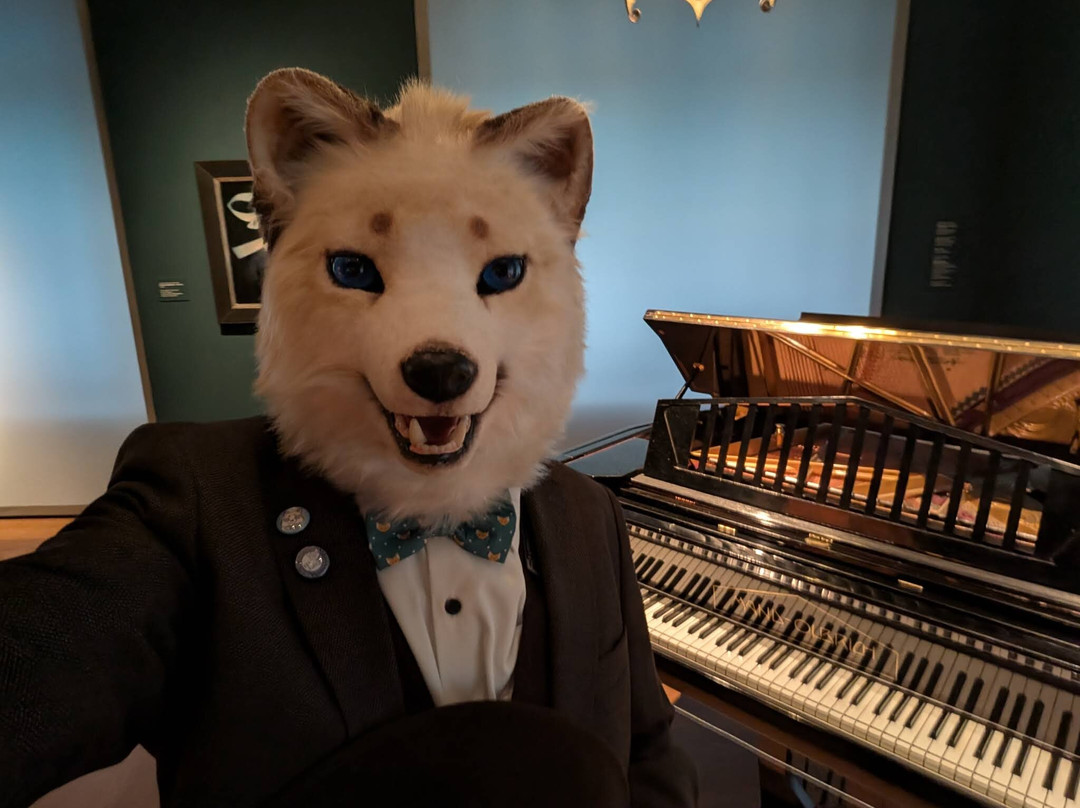 Museum Wiesbaden-威斯巴登必去景点