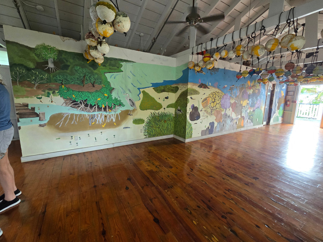 Pigeon Key-马拉松必去景点