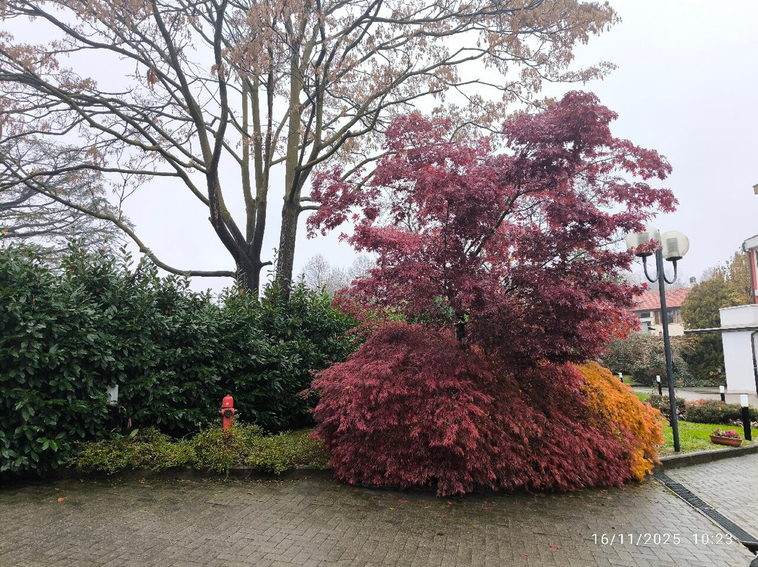 Phi Hotel Homy Druento