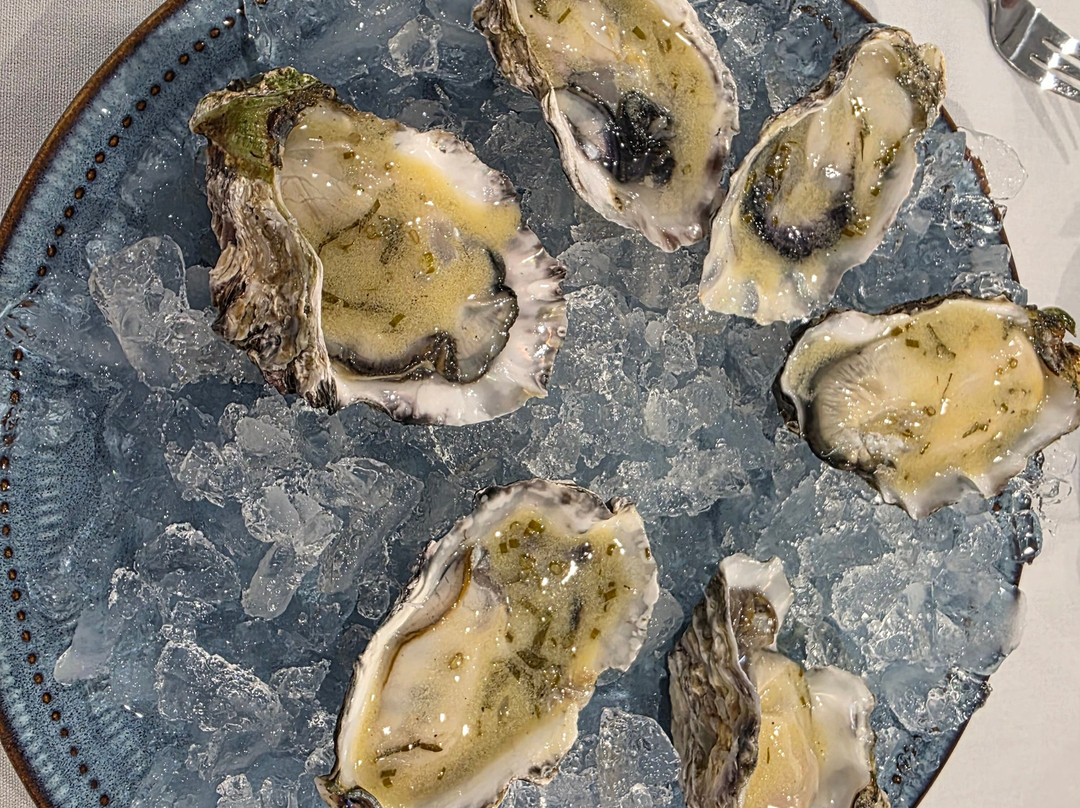 利特高殖民地汽车旅馆主图