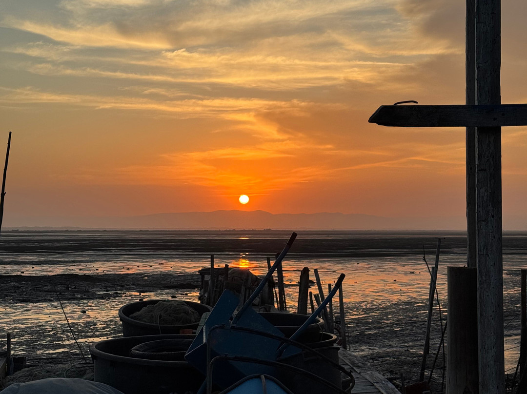 Comporta Experience-Comporta必去景点