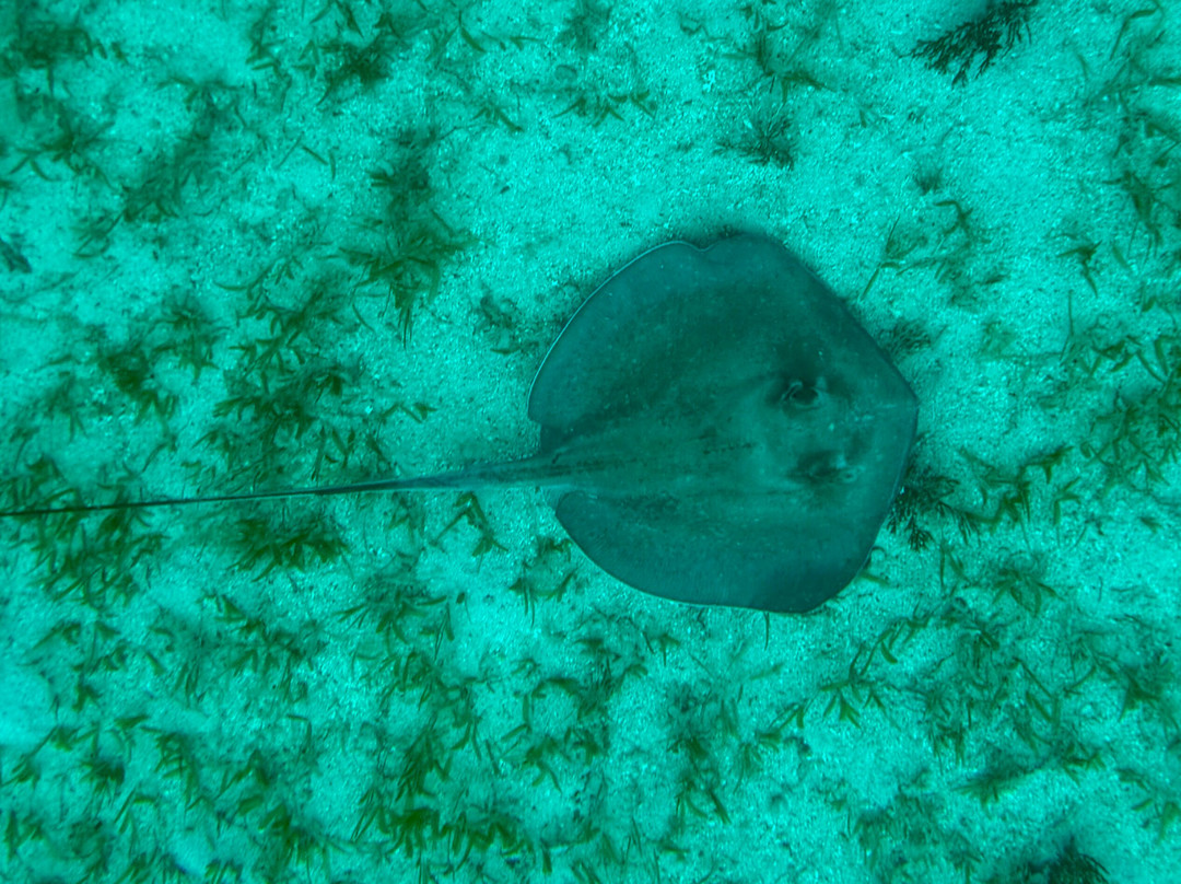 Kuralu Catamaran Charters-Road Town必去景点