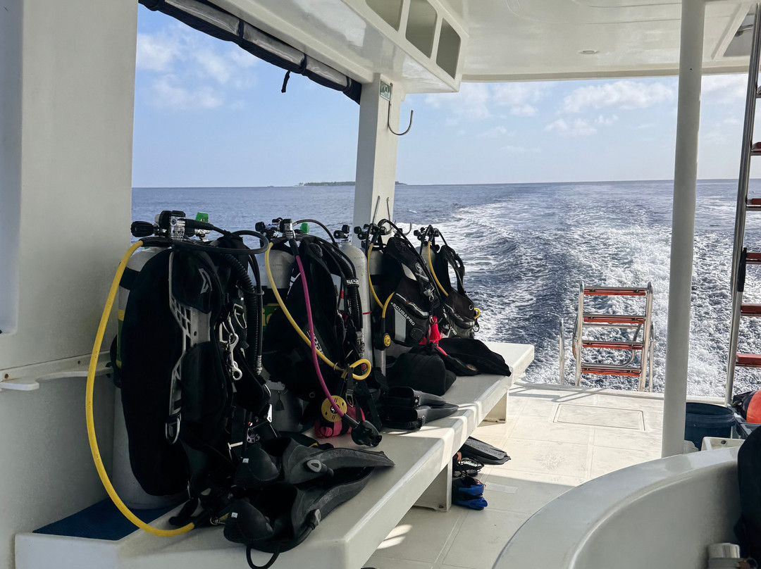 ScubaCaribe Maldives-达哈阿鲁环礁必去景点