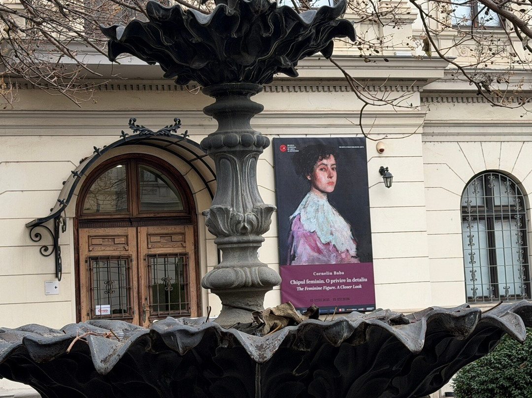 Muzeul Colecțiilor de Artă-布加勒斯特必去景点