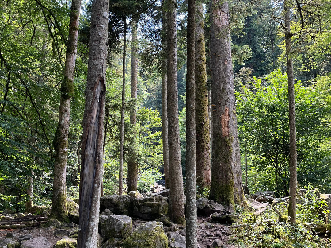Grande Cascade de Tendon-Tendon必去景点