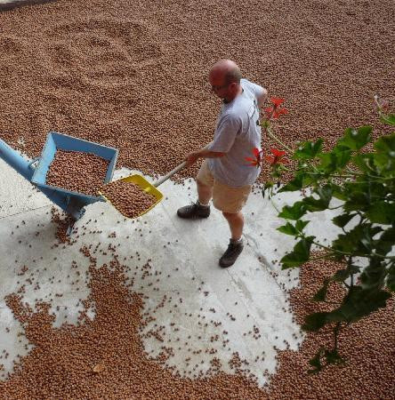 Montelupo Albese酒店住宿-Cascina Sant'Eufemia