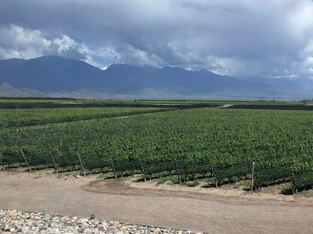 Bodega Zuccardi Valle de Uco-La Consulta必去景点