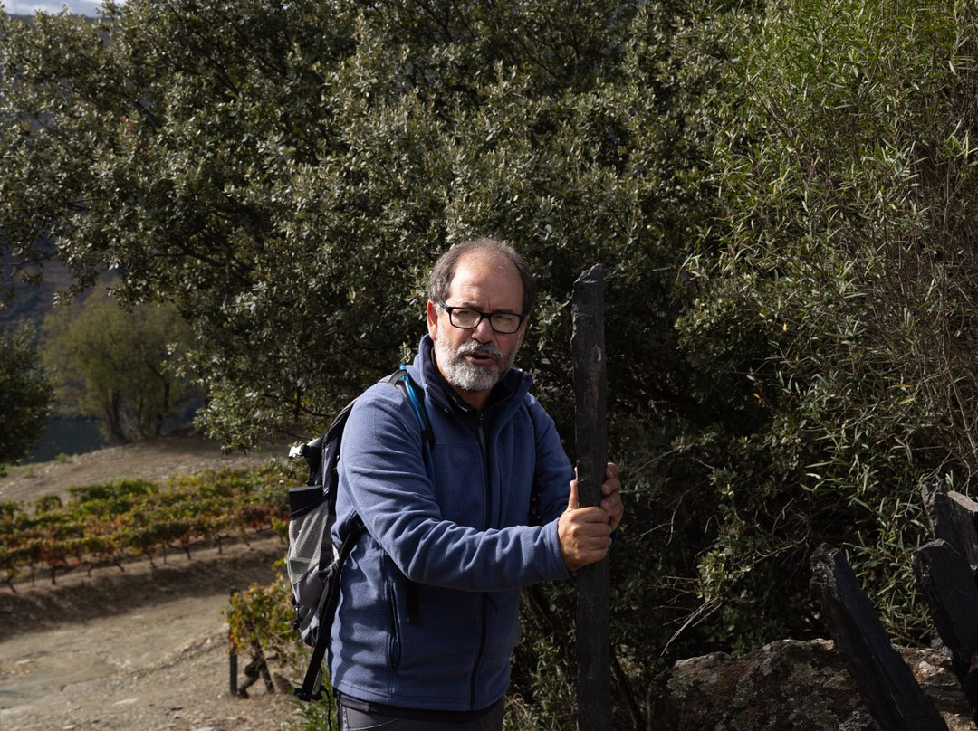 Douro Walks-Ervedosa do Douro必去景点