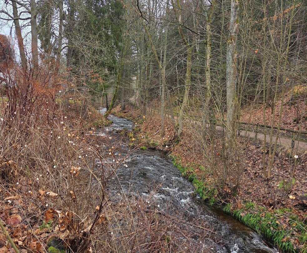 Hapimag Resort Braunlage主图