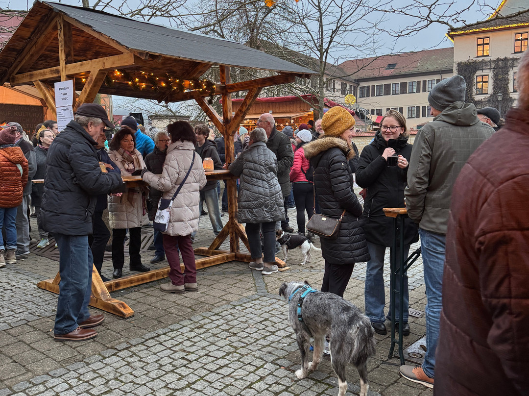 Stadtschloss Treuchtlingen-Treuchtlingen必去景点