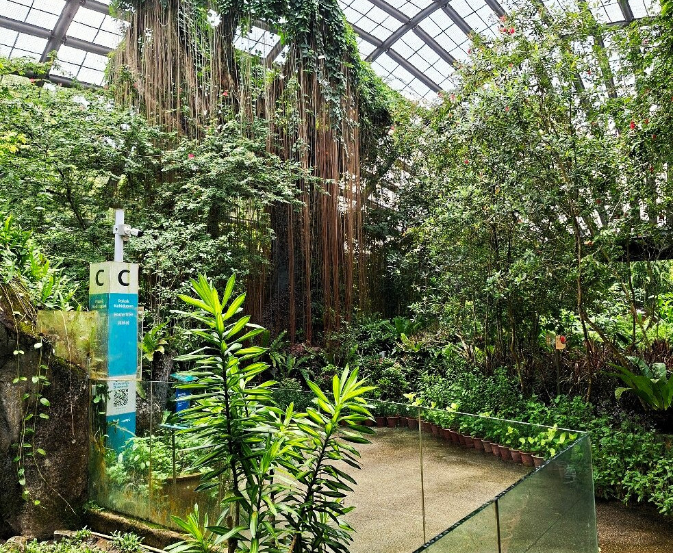 蟲鳴大地-巴巷海滩必去景点