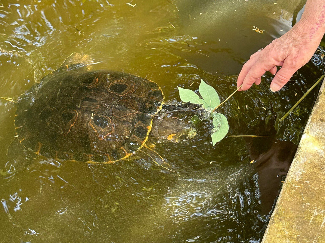 The Monkey Farm-Playa Ocotal必去景点