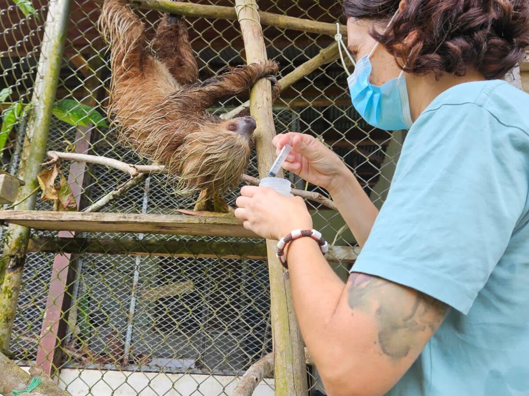 Rainforest Awareness Rescue Education Center-伊基托斯必去景点