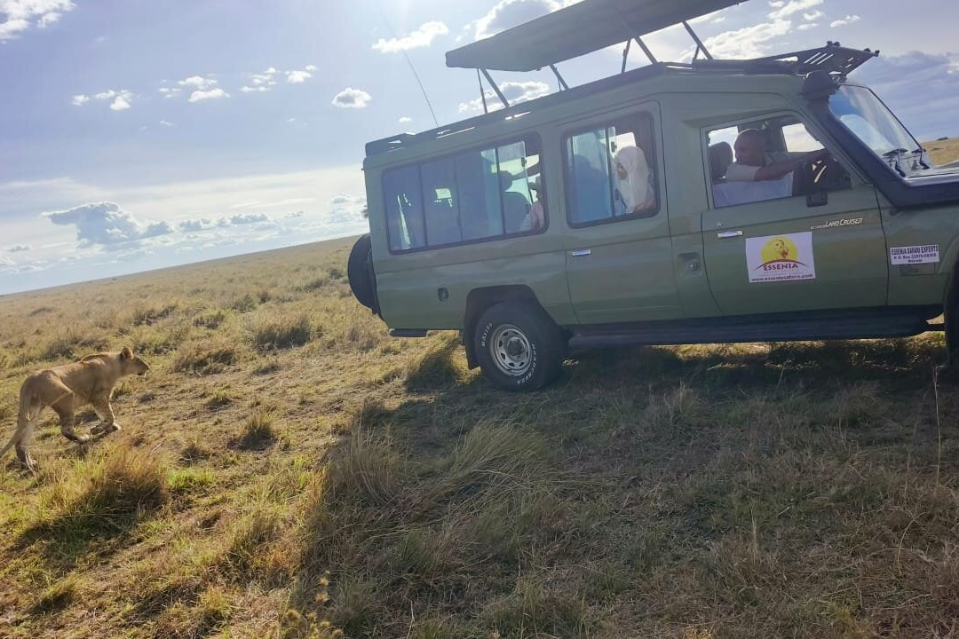 Essenia Safari Experts-内罗毕必去景点